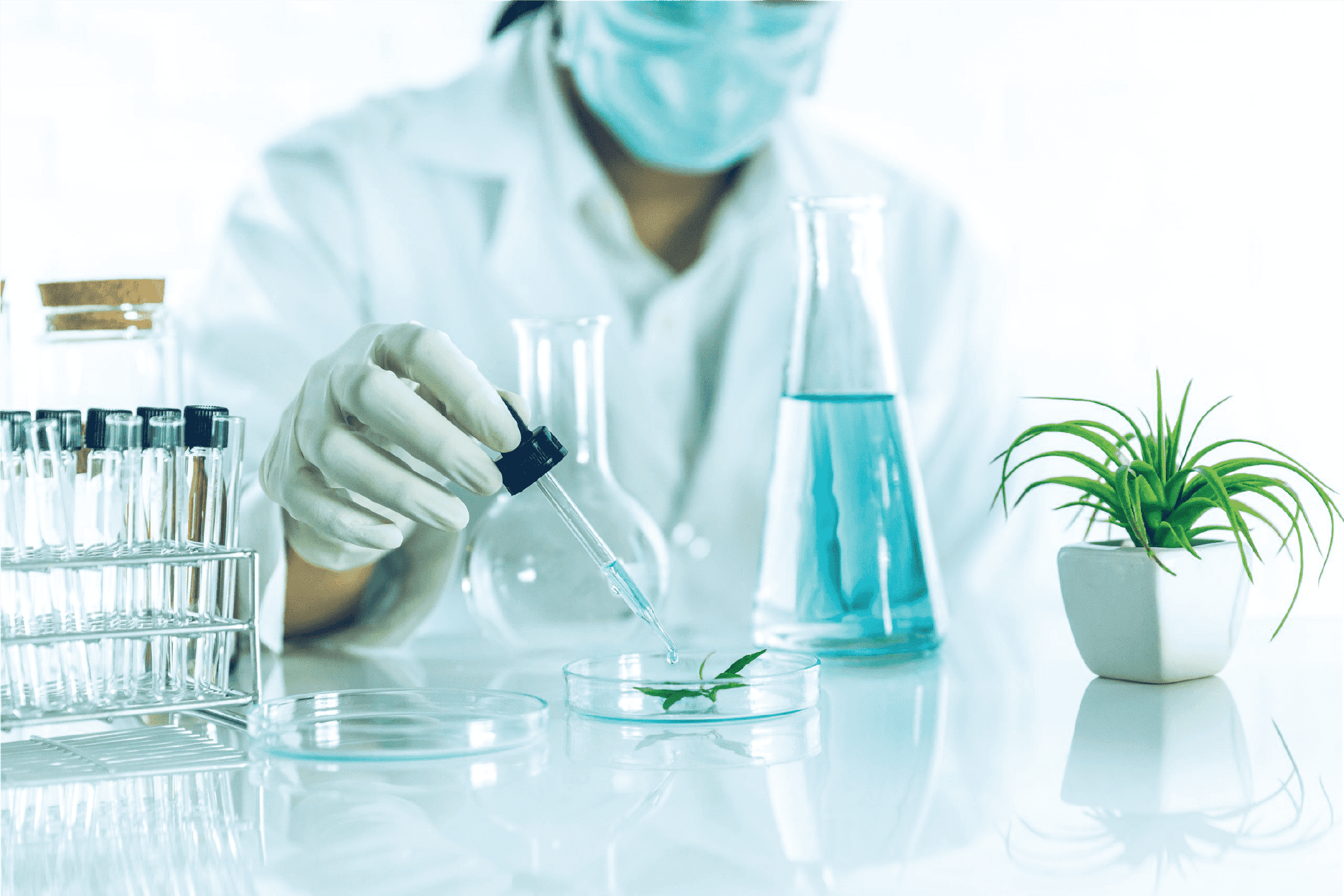 SP Biotech Beauty PLT | RESEARCH &
DEVELOPMENT