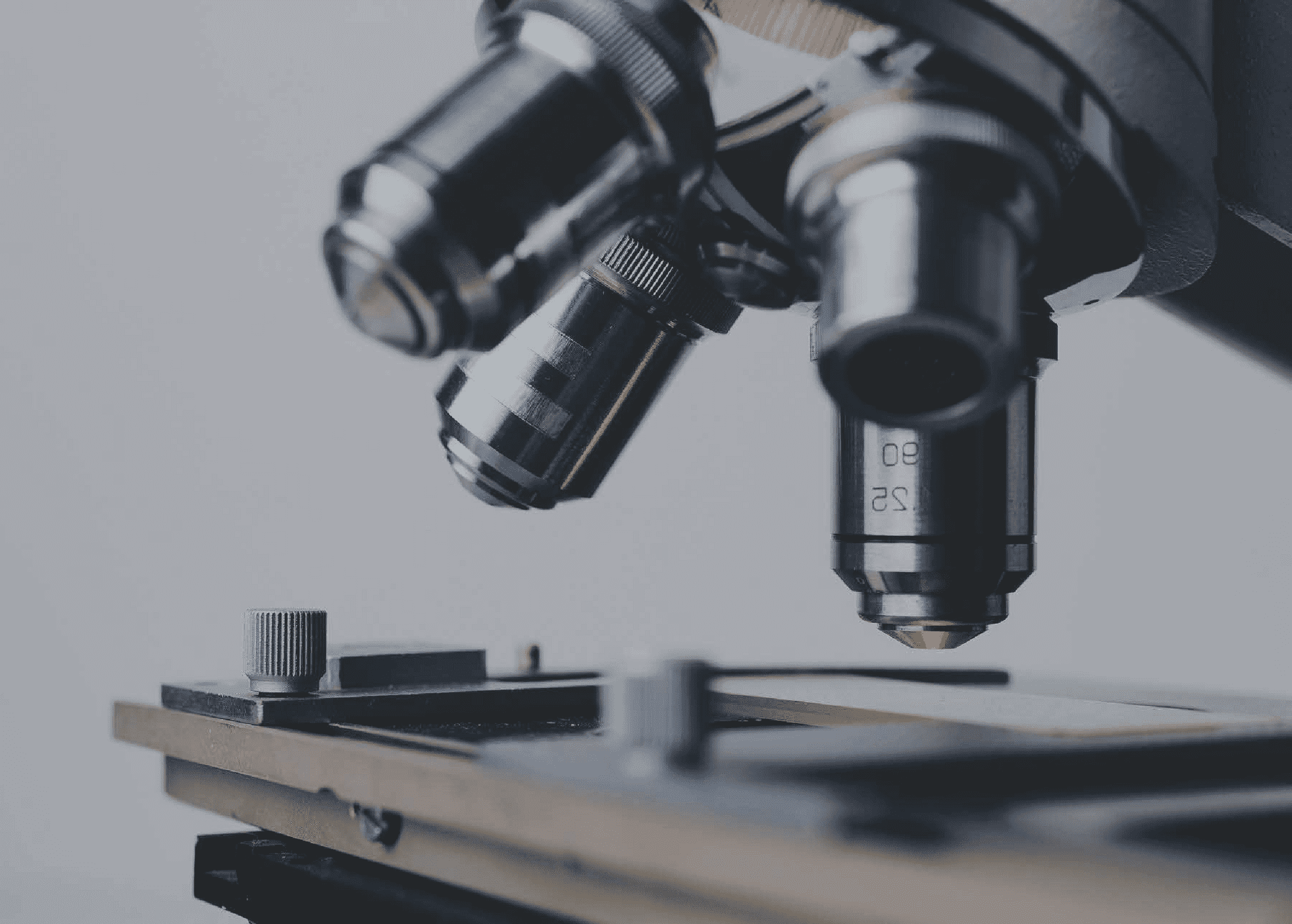 SP Biotech Beauty PLT | ENQUIRY FORM