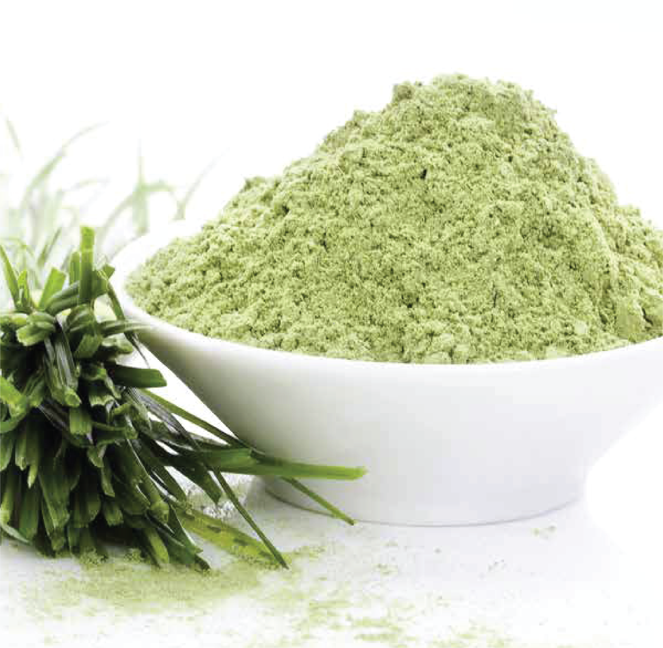 SP Biotech Beauty PLT | DETOX