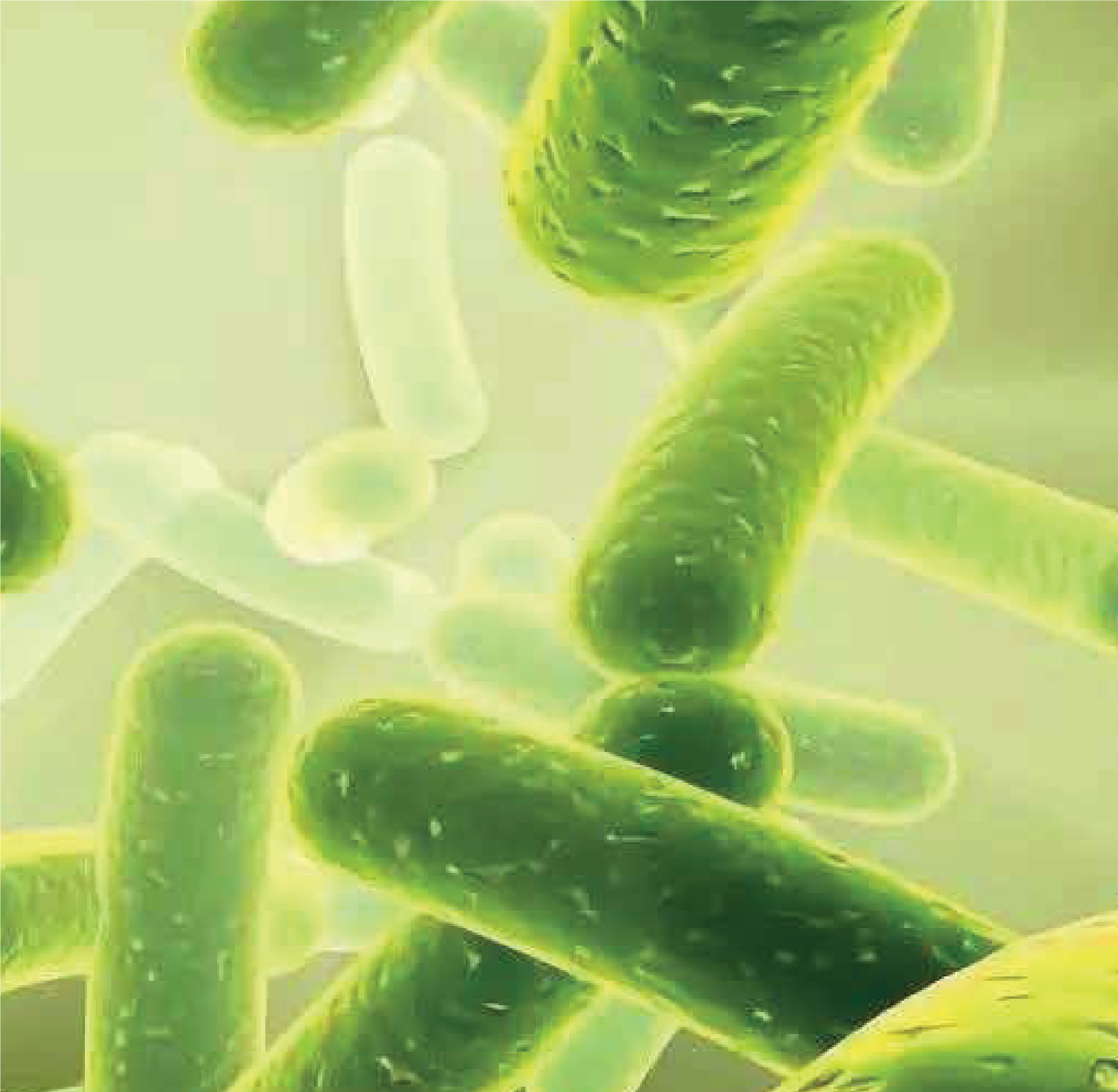 SP Biotech Beauty PLT | DETOX