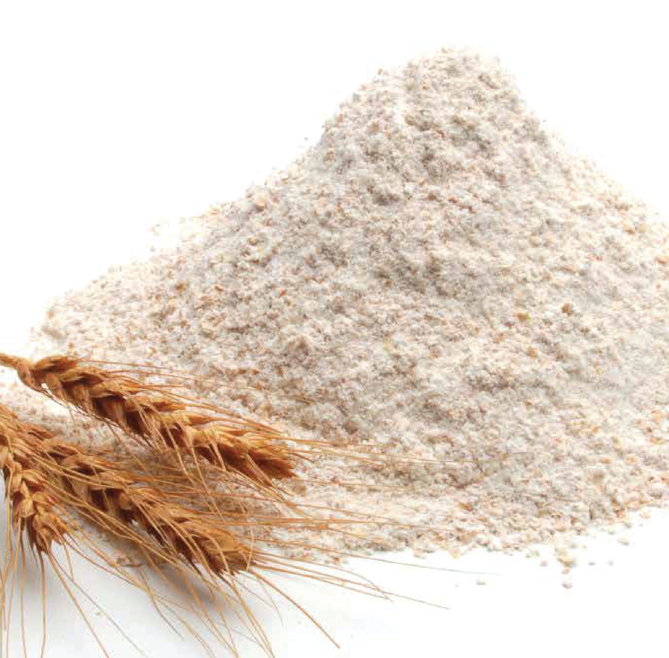 SP Biotech Beauty PLT | SLIMMING